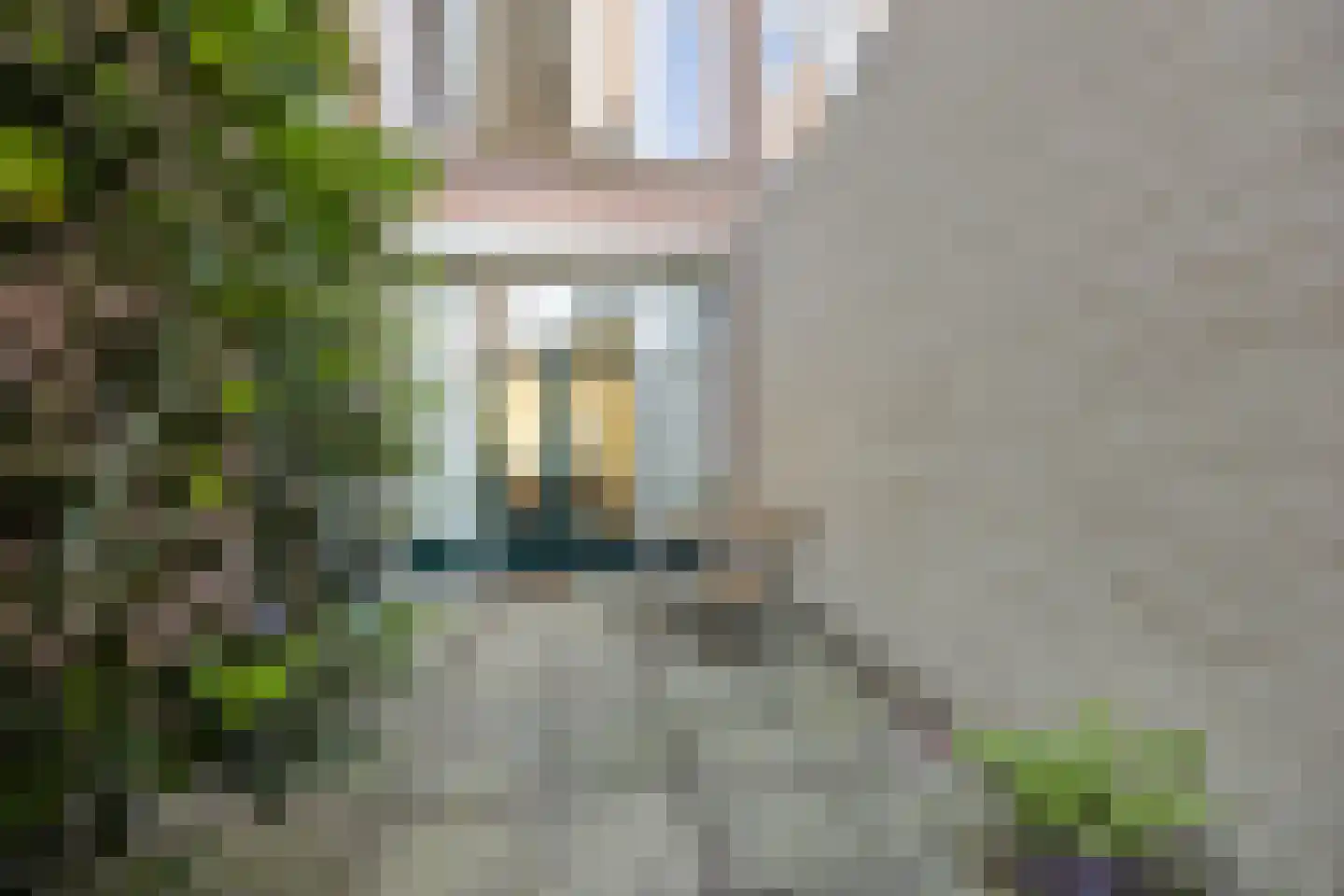 Laan van Meerdervoort 477 Den Haag thumbnail 32