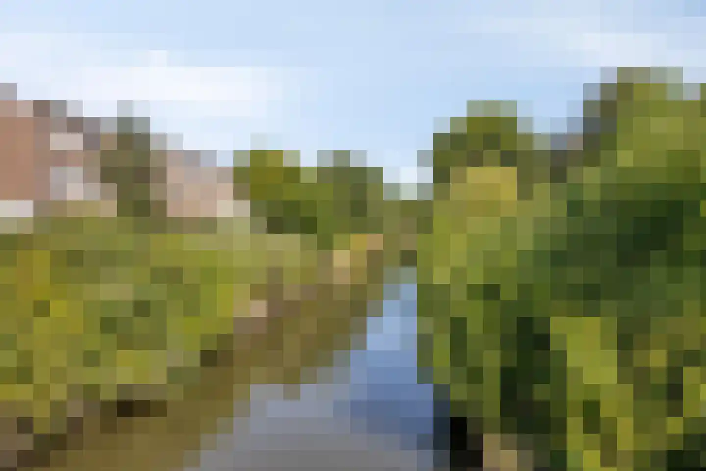 Laan van Meerdervoort 477 Den Haag thumbnail 34
