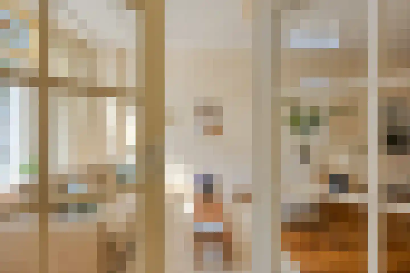 Laan van Meerdervoort 477 Den Haag thumbnail 4
