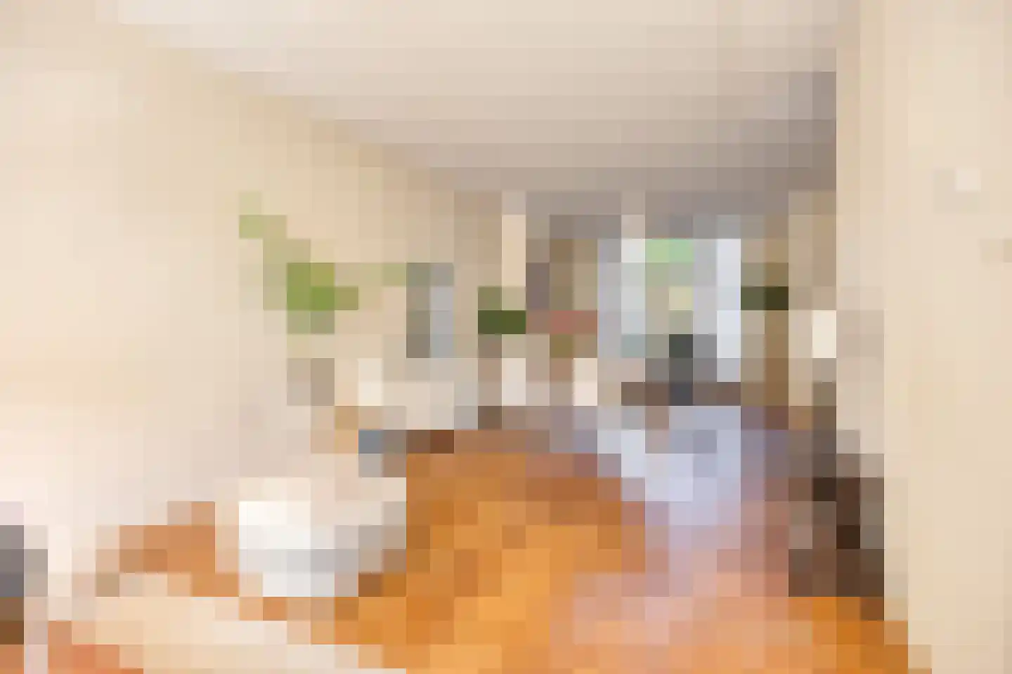 Laan van Meerdervoort 477 Den Haag thumbnail 5