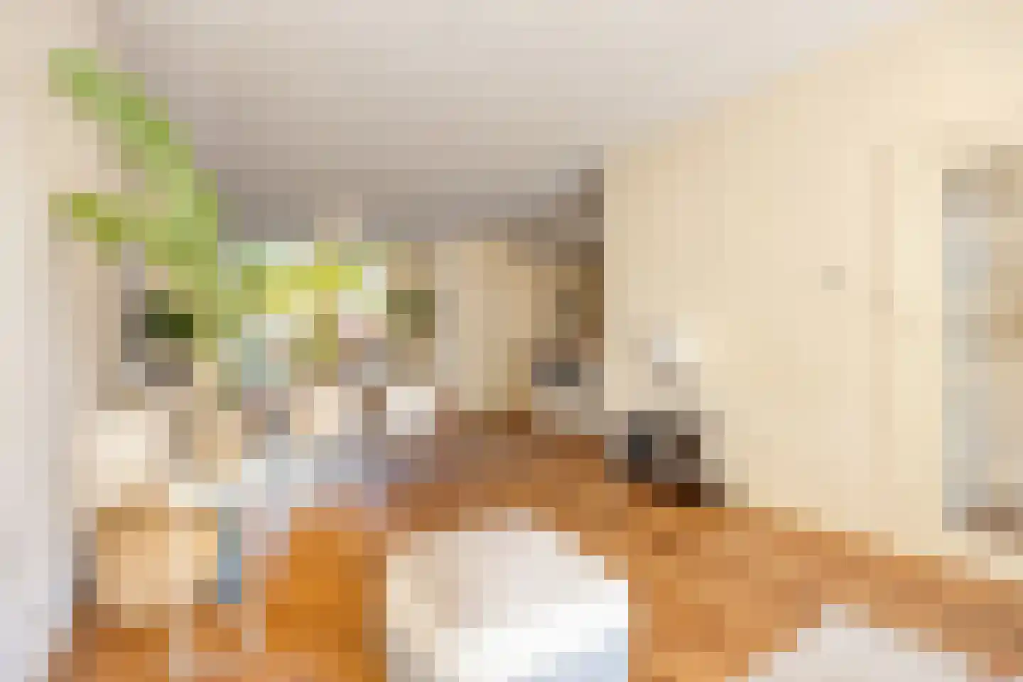 Laan van Meerdervoort 477 Den Haag thumbnail 6