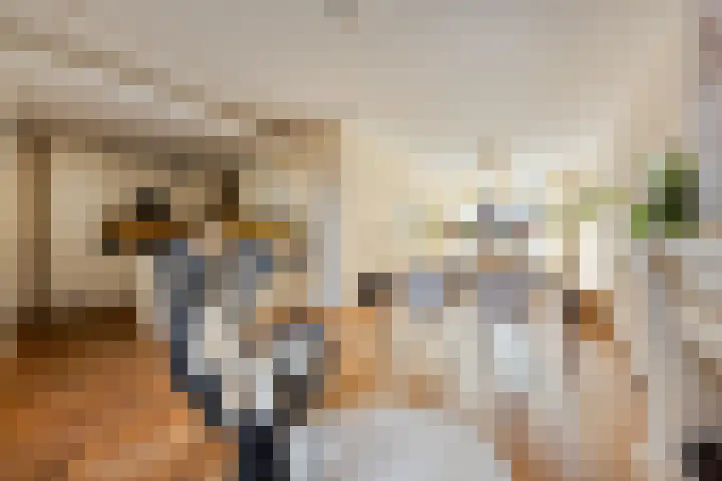 Laan van Meerdervoort 477 Den Haag thumbnail 9