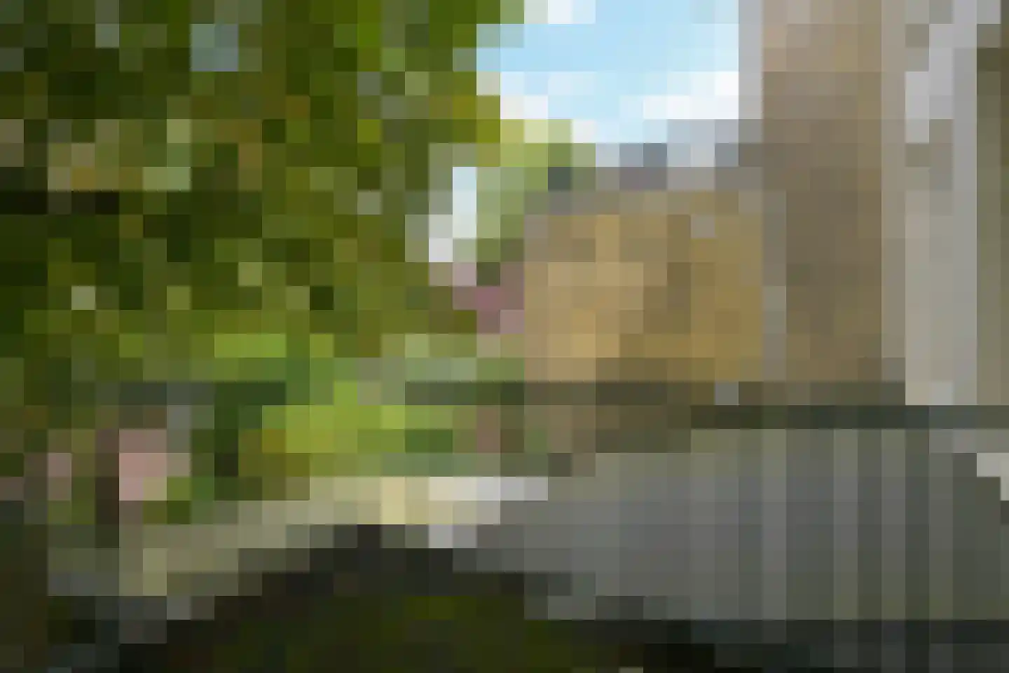 Laan van Meerdervoort 5 A Den Haag thumbnail 12