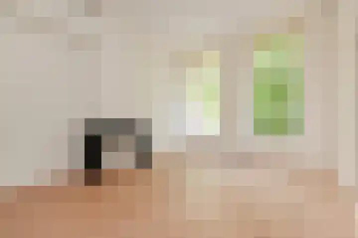Laan van Meerdervoort 53 F Den Haag thumbnail 5