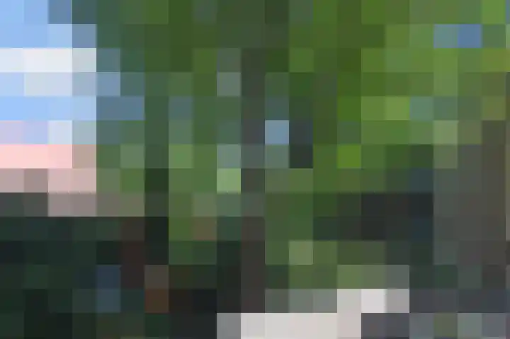Laan van Meerdervoort 53 G Den Haag thumbnail 6