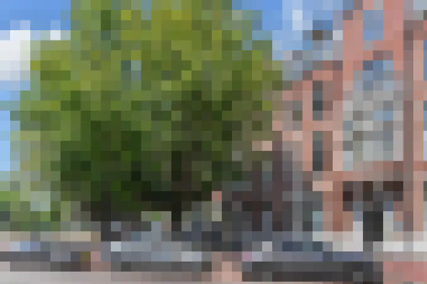Laan van Meerdervoort 53 H Den Haag foto 2