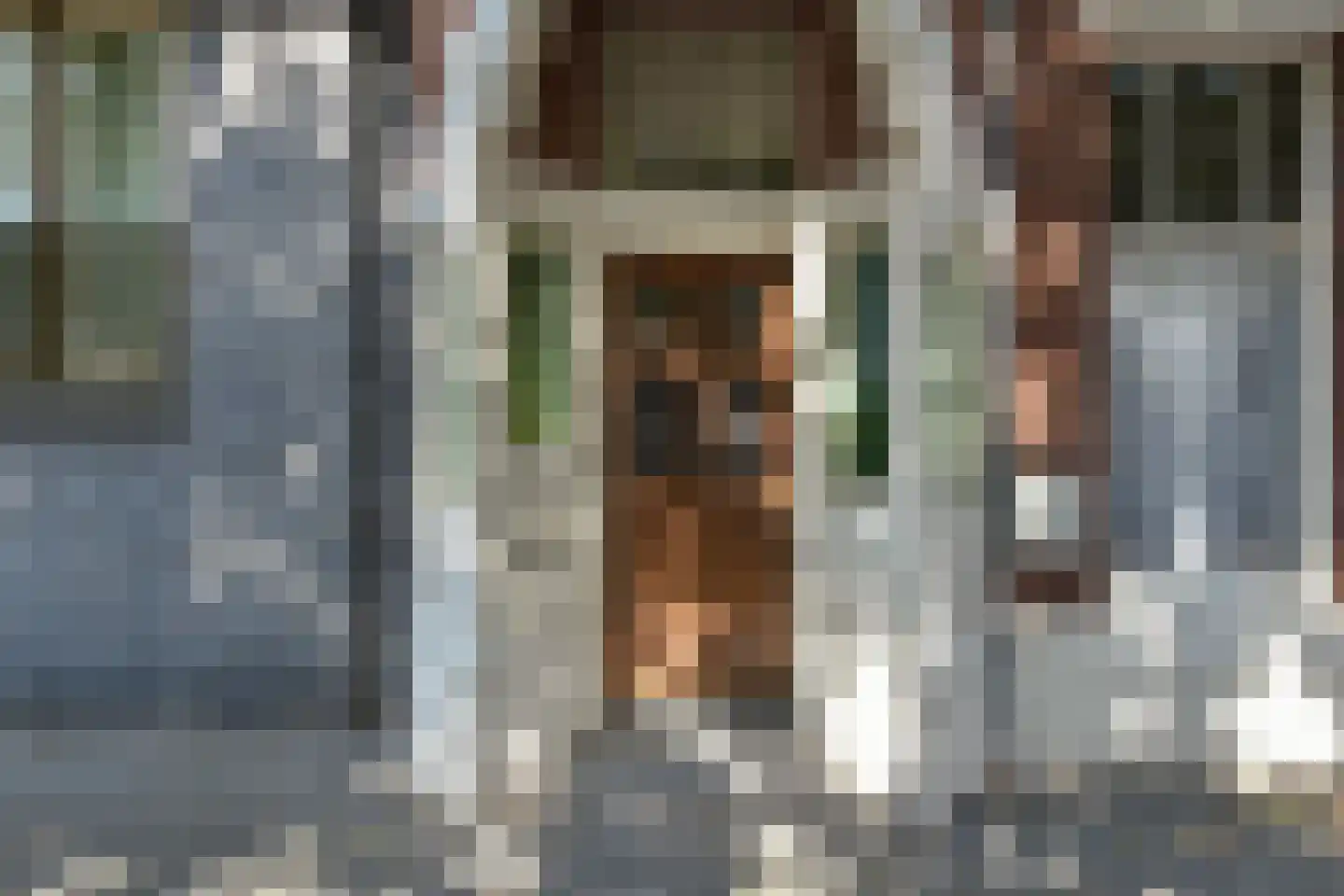 Laan van Meerdervoort 53 J Den Haag thumbnail 4