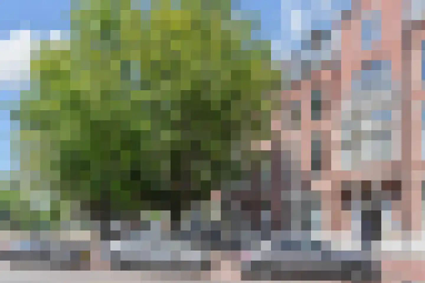 Laan van Meerdervoort 53 K Den Haag foto 2