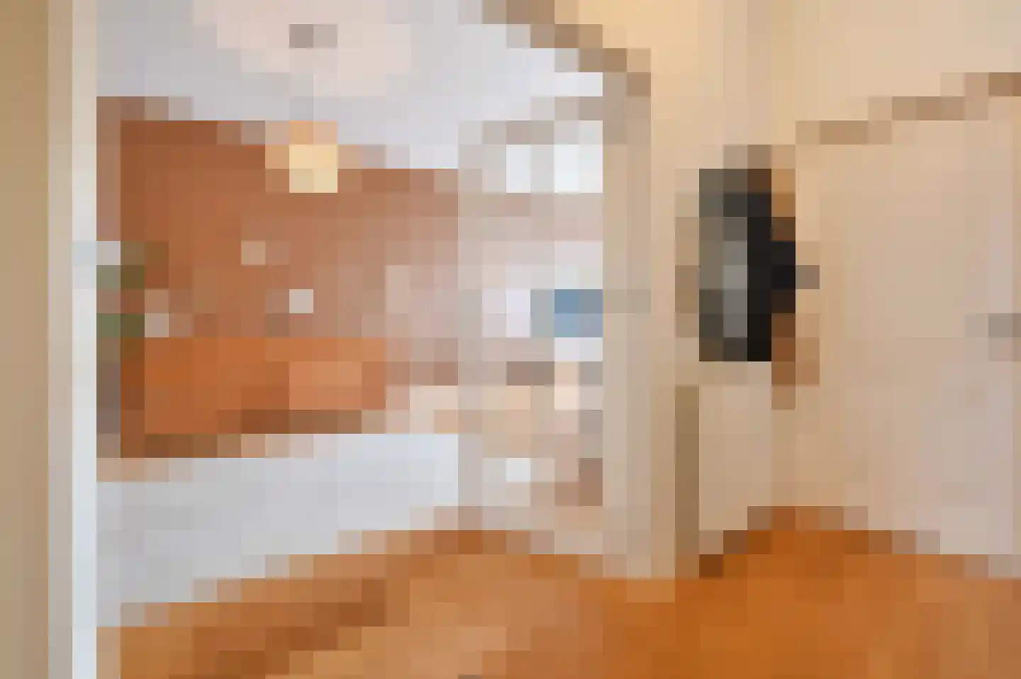 Laan van Meerdervoort 547 A Den Haag thumbnail 14