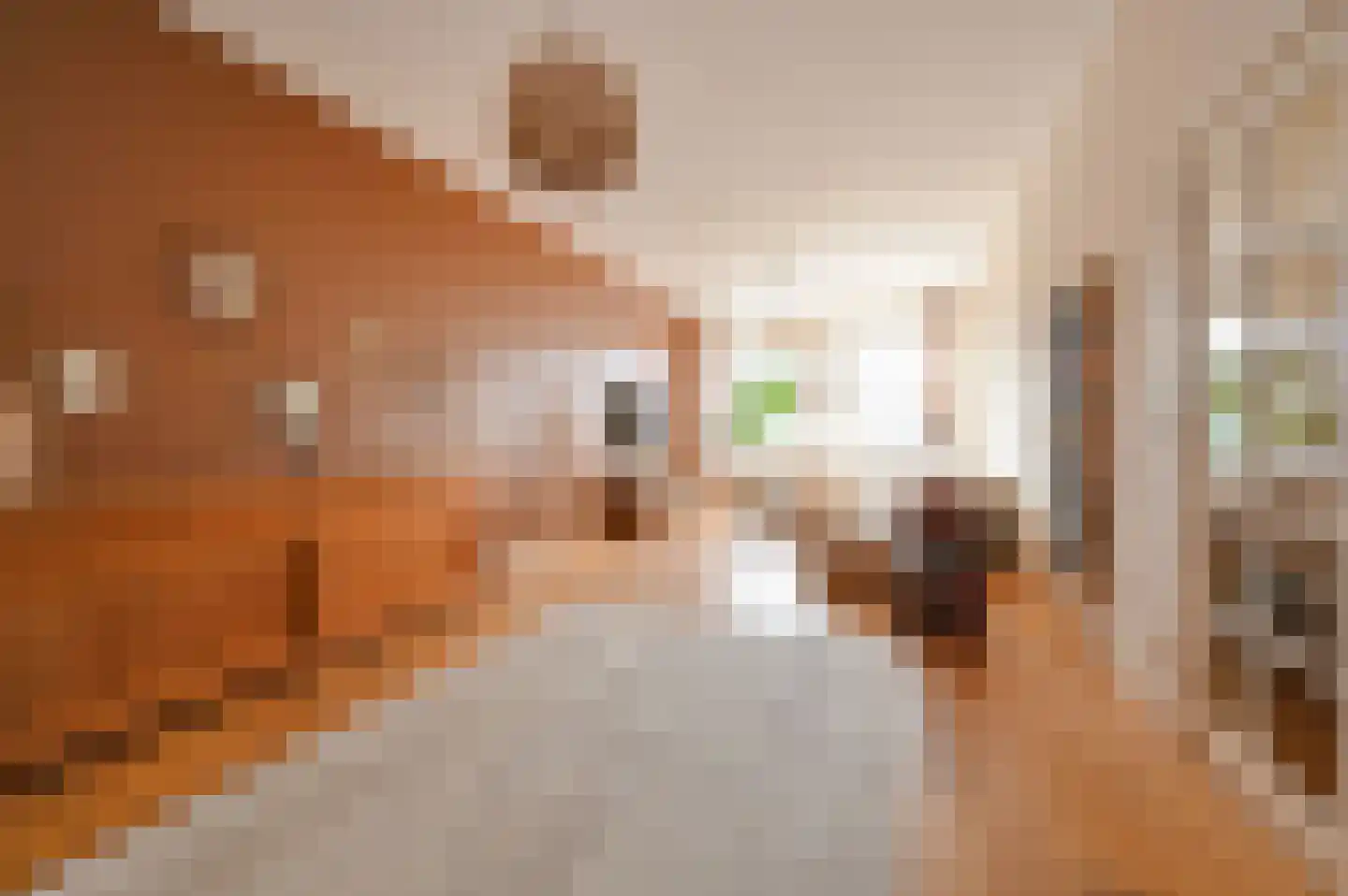 Laan van Meerdervoort 547 A Den Haag thumbnail 15