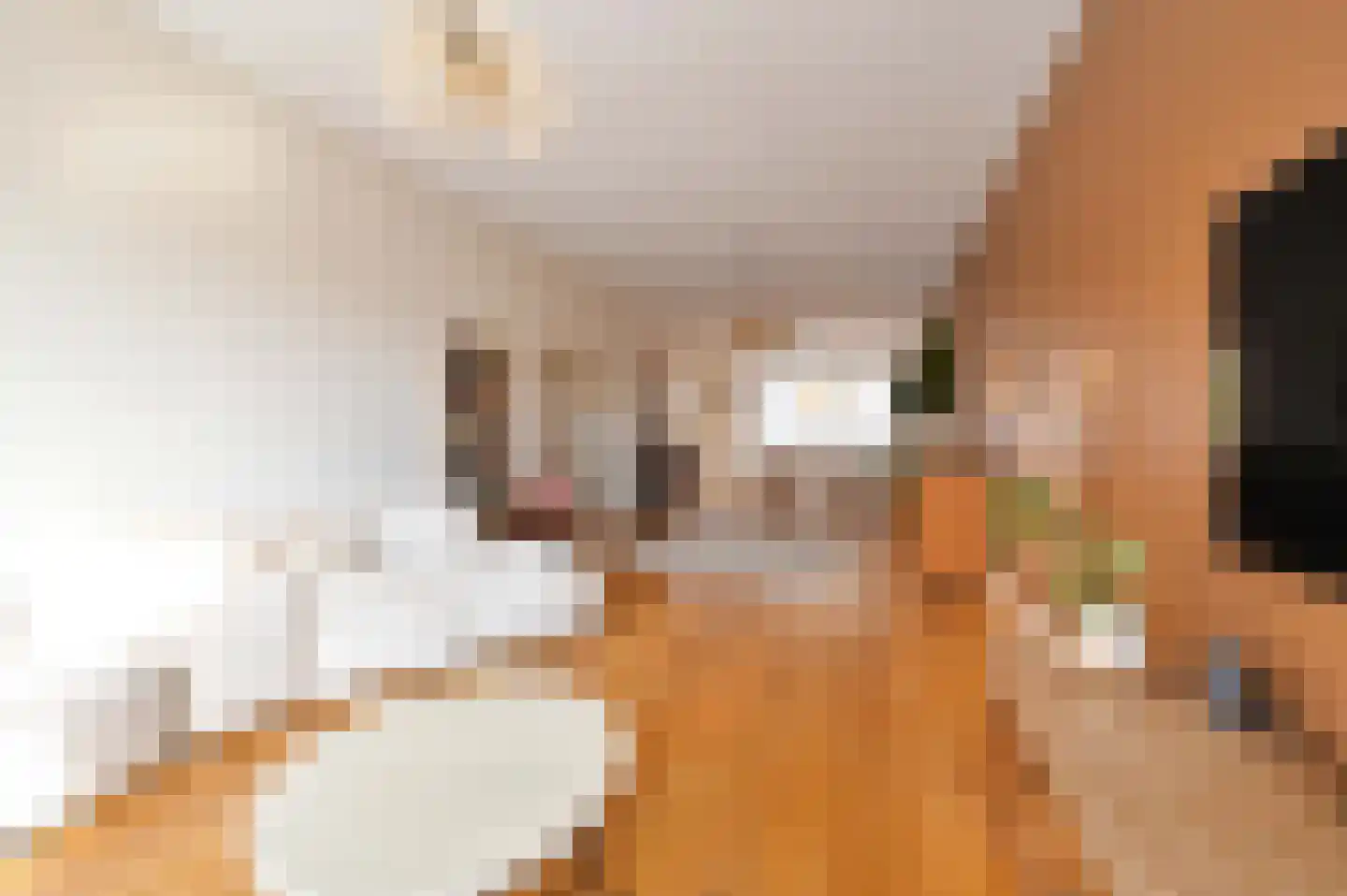 Laan van Meerdervoort 547 A Den Haag thumbnail 19