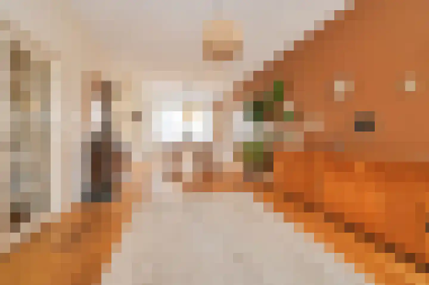 Laan van Meerdervoort 547 A Den Haag thumbnail 20