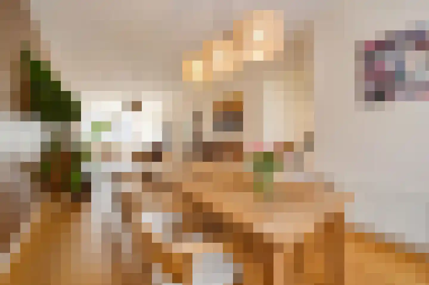 Laan van Meerdervoort 547 A Den Haag thumbnail 23
