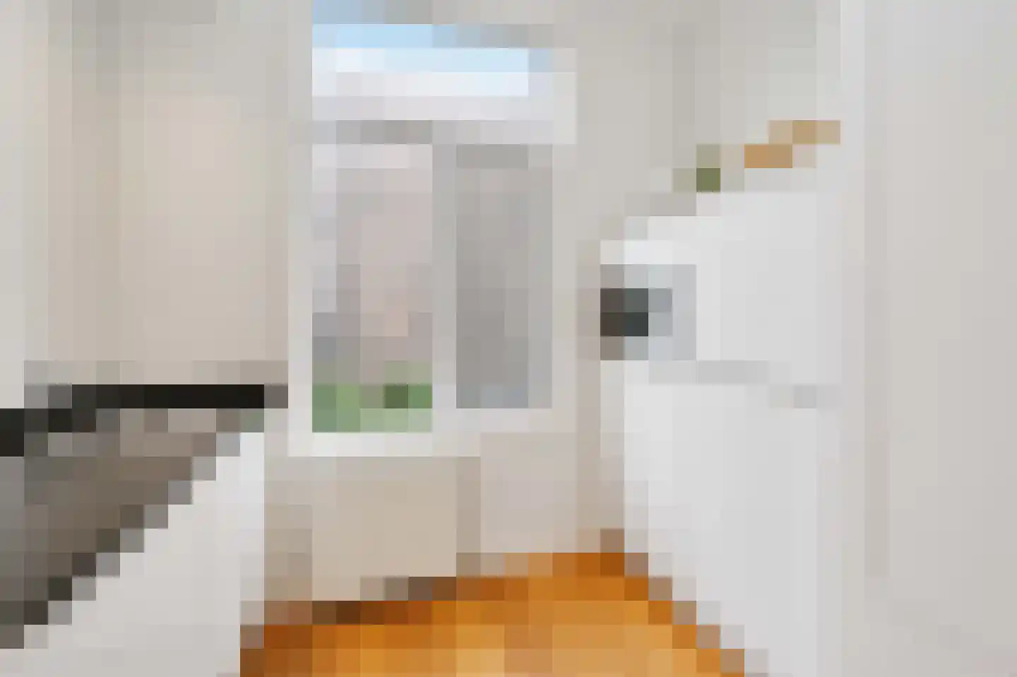 Laan van Meerdervoort 547 A Den Haag thumbnail 27