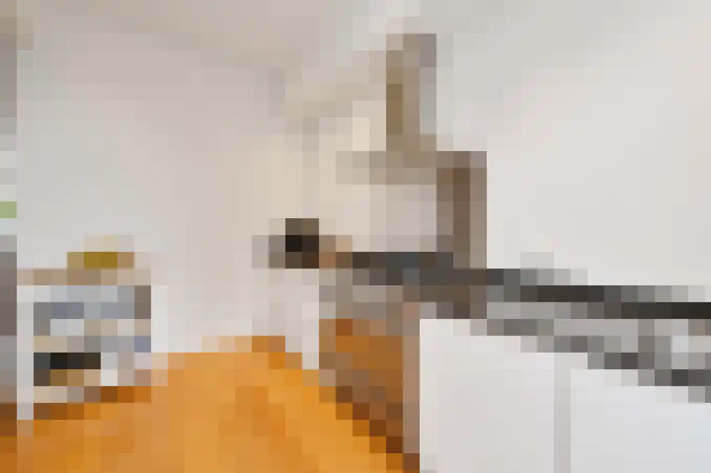 Laan van Meerdervoort 547 A Den Haag thumbnail 28