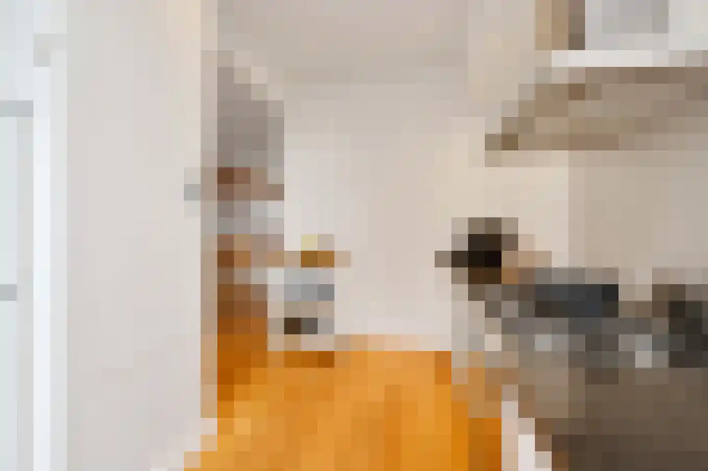 Laan van Meerdervoort 547 A Den Haag thumbnail 29