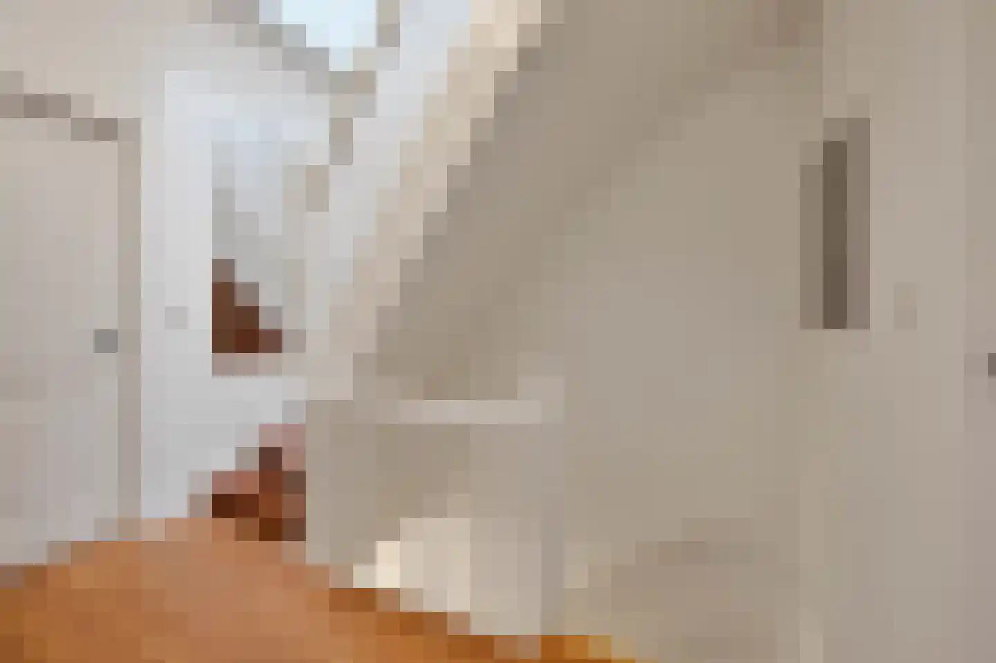 Laan van Meerdervoort 547 A Den Haag thumbnail 33