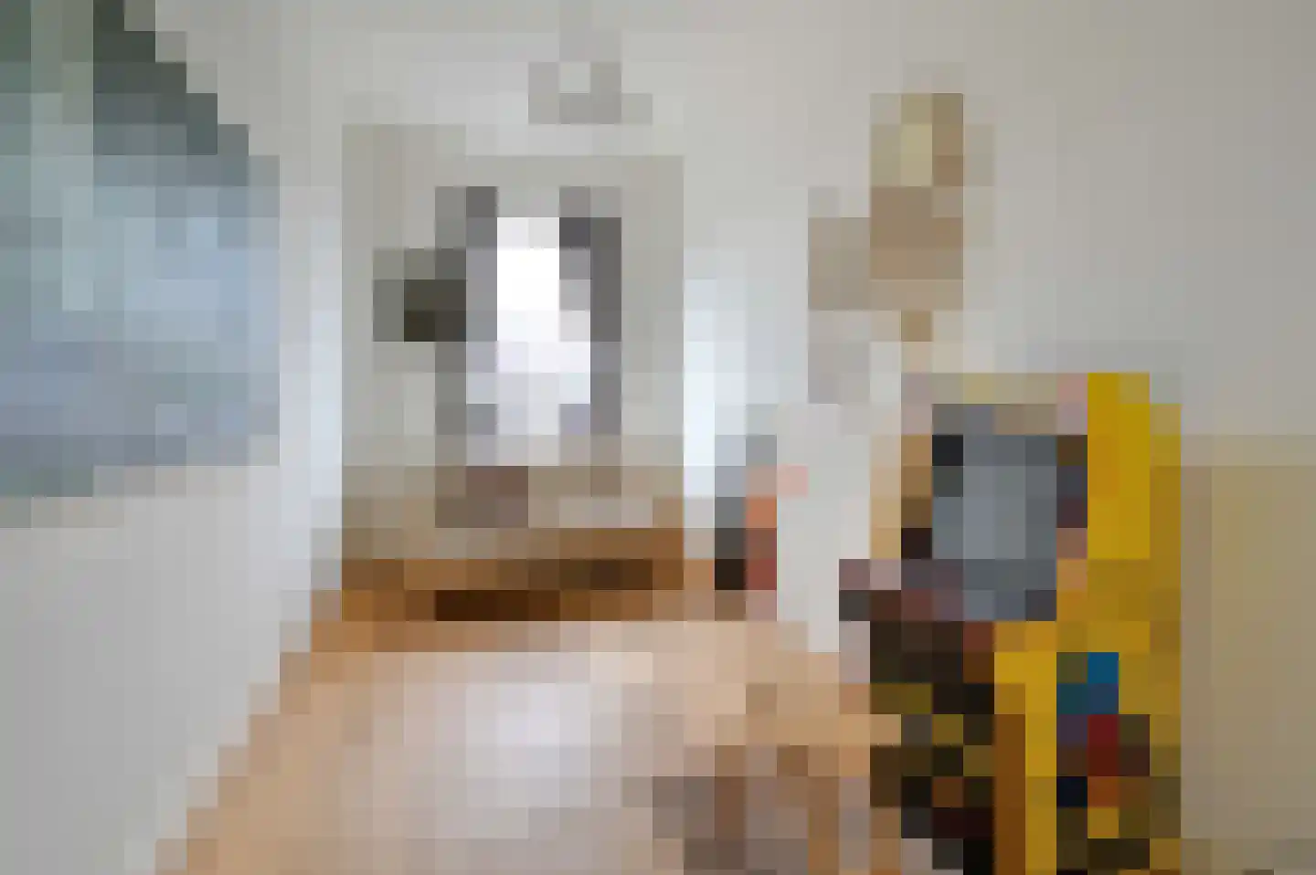 Laan van Meerdervoort 547 A Den Haag thumbnail 34