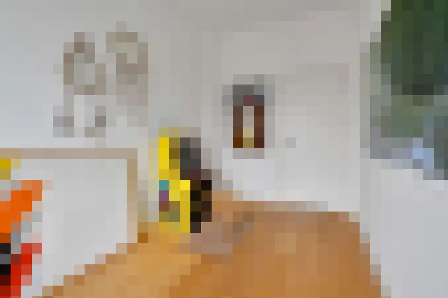 Laan van Meerdervoort 547 A Den Haag thumbnail 35