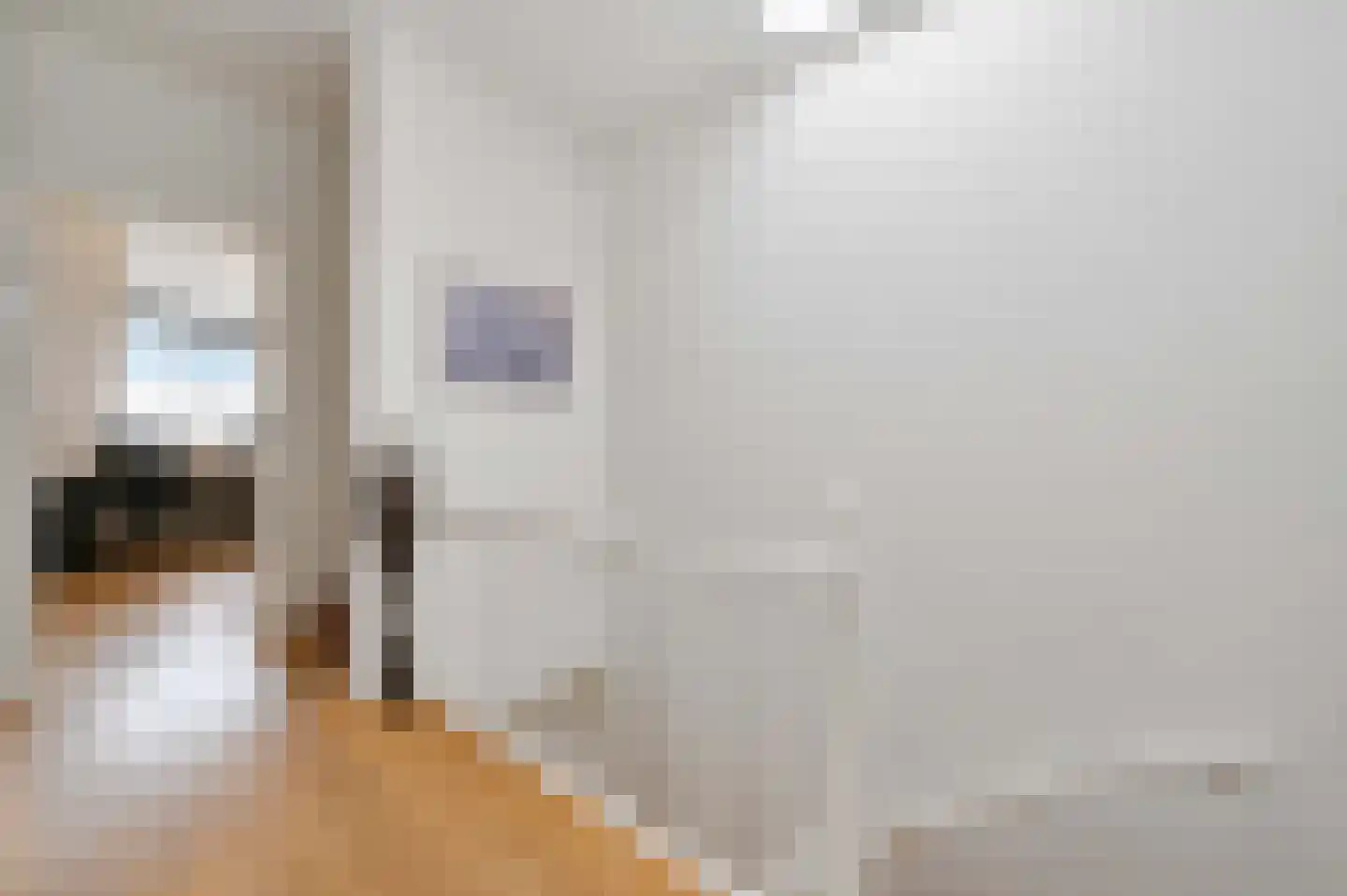 Laan van Meerdervoort 547 A Den Haag thumbnail 36