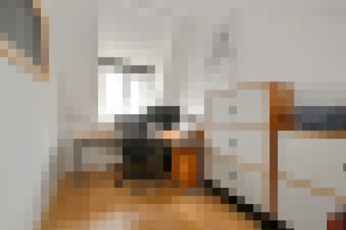 Laan van Meerdervoort 547 A Den Haag thumbnail 37