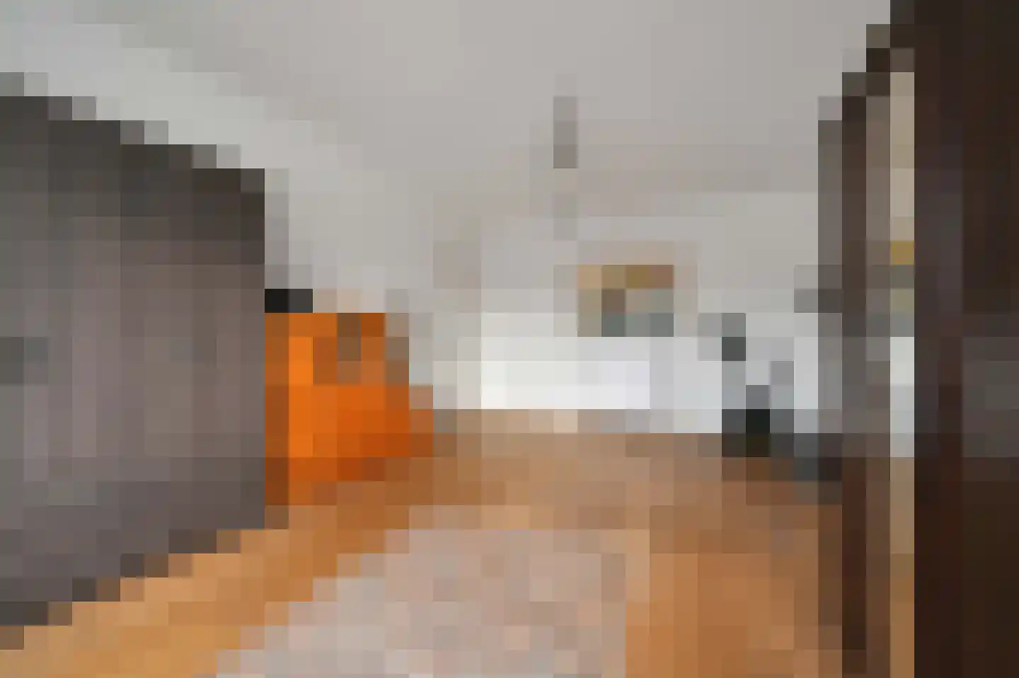 Laan van Meerdervoort 547 A Den Haag thumbnail 40