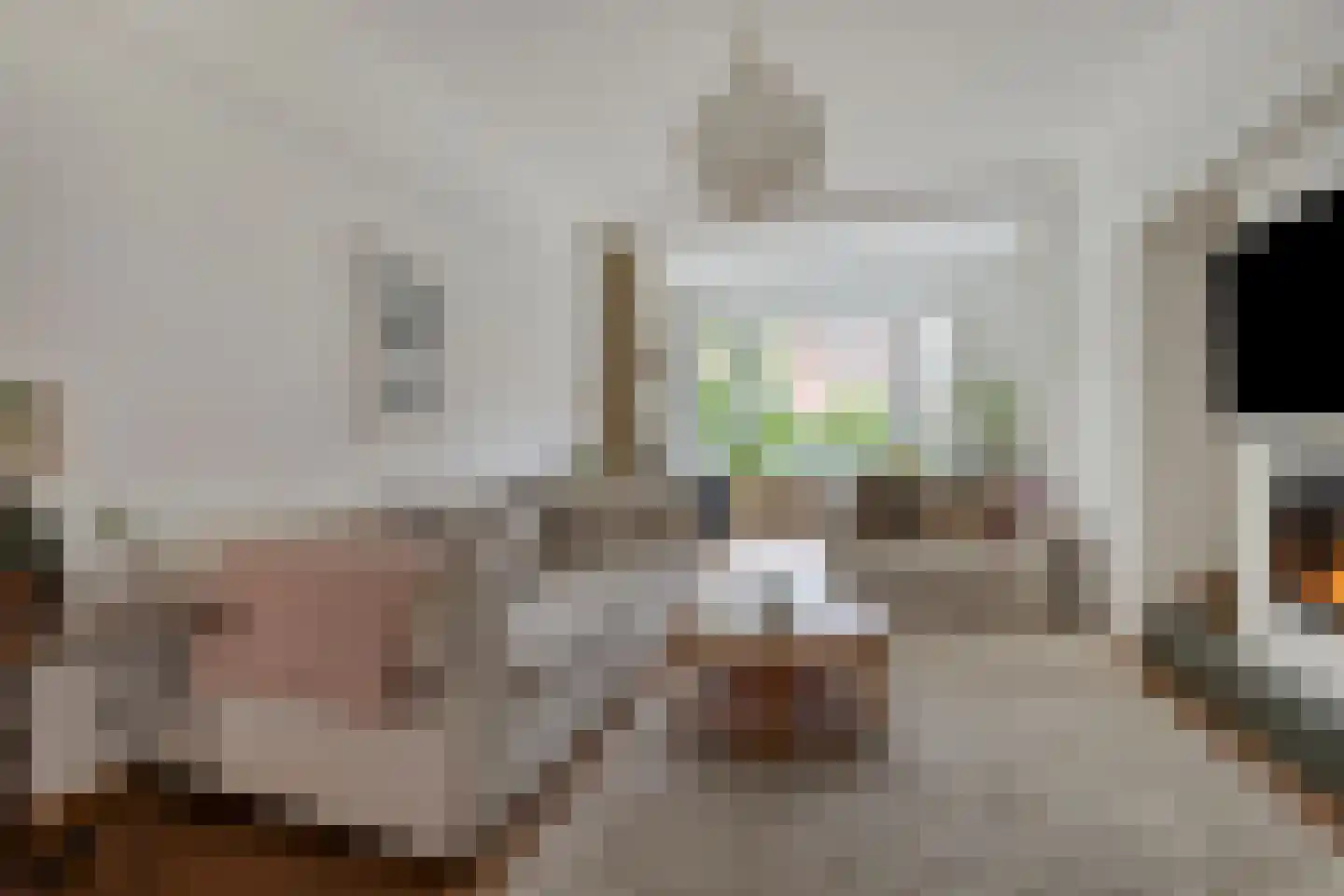 Laan van Meerdervoort 571 Den Haag thumbnail 12