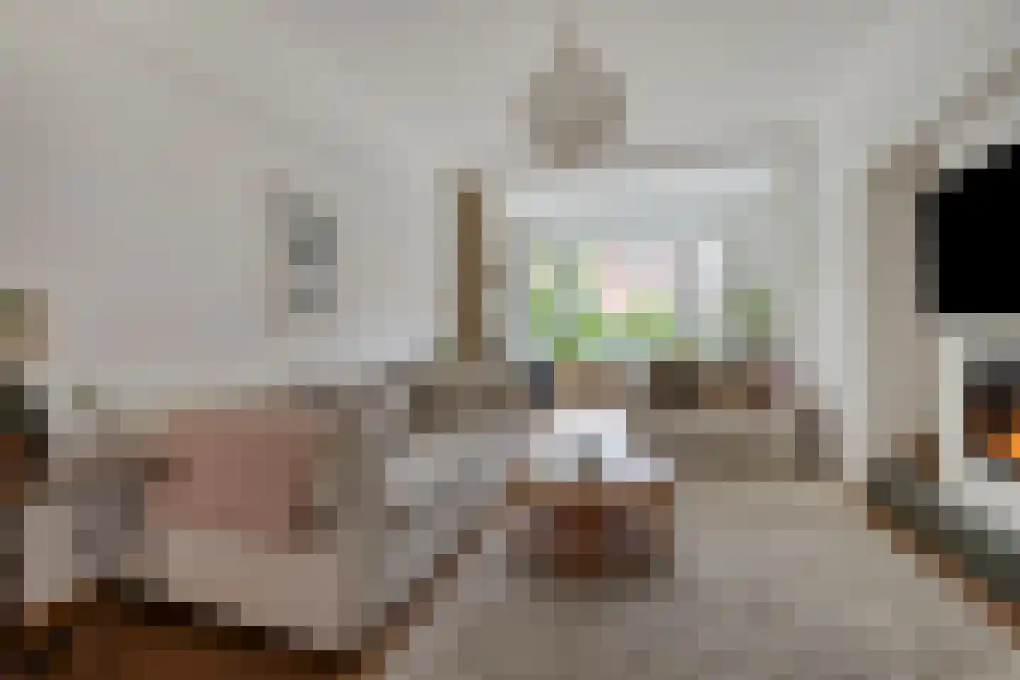 Laan van Meerdervoort 571 Den Haag thumbnail 12