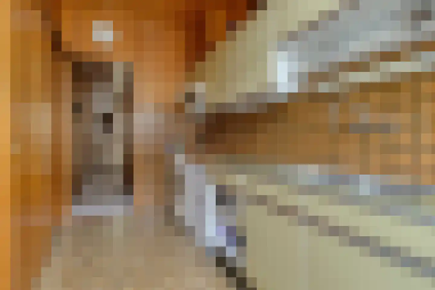 Laan van Meerdervoort 571 Den Haag thumbnail 20