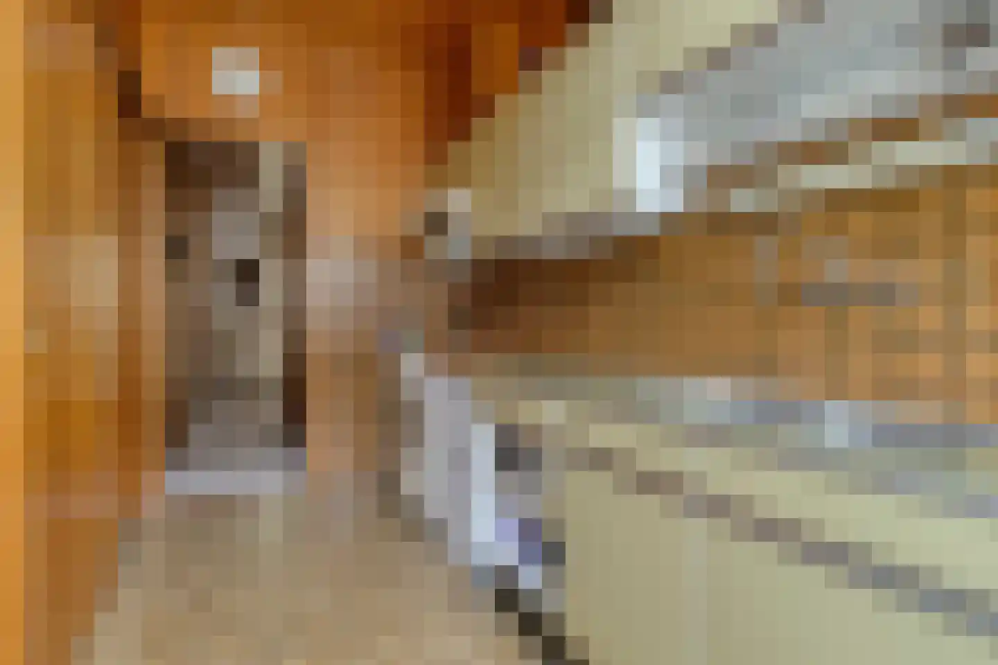 Laan van Meerdervoort 571 Den Haag thumbnail 20