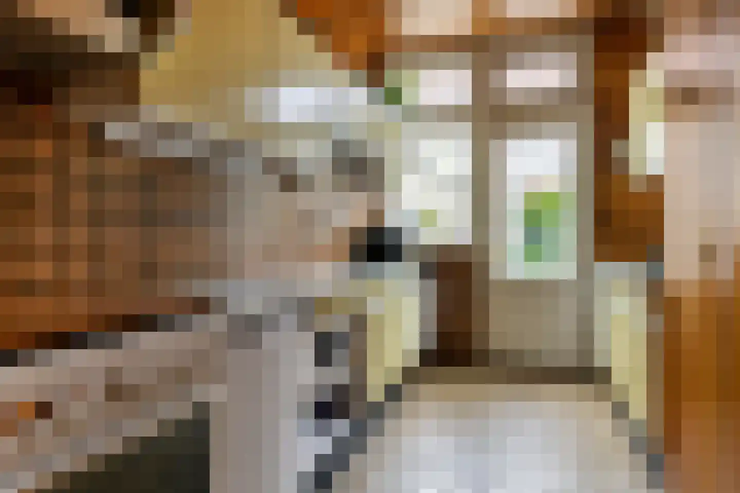 Laan van Meerdervoort 571 Den Haag thumbnail 21