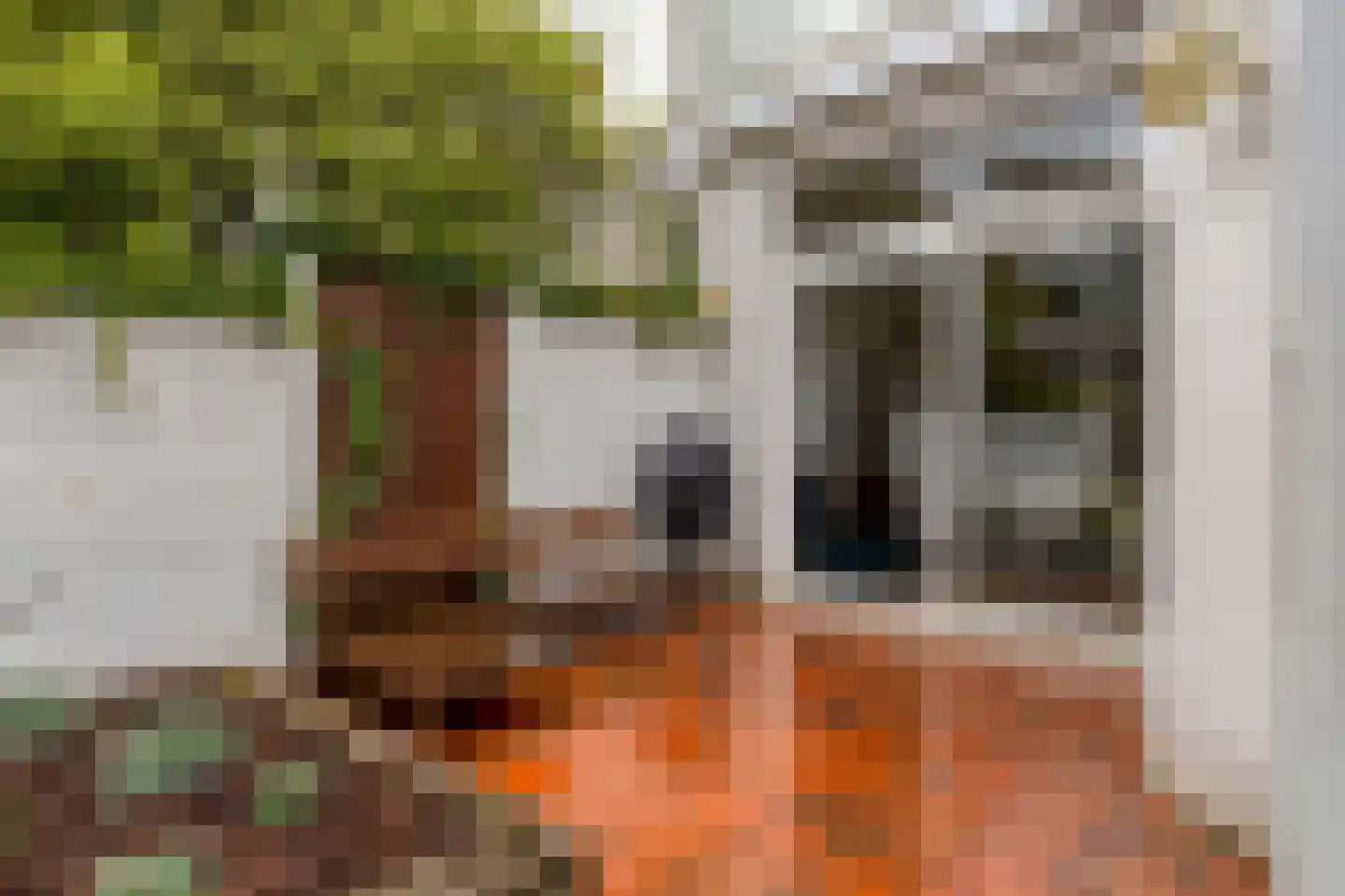 Laan van Meerdervoort 571 Den Haag thumbnail 25