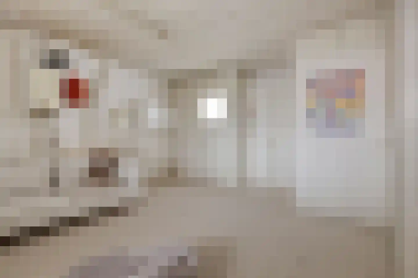 Laan van Meerdervoort 571 Den Haag thumbnail 40