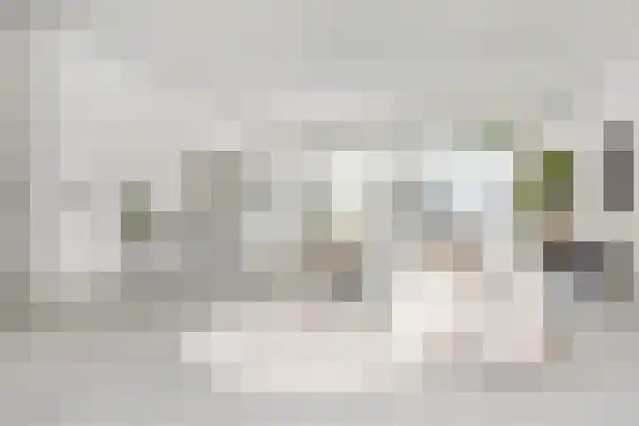 Laan van Meerdervoort 60 Den Haag thumbnail 11