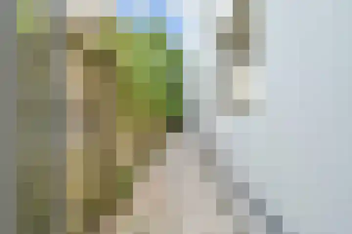 Laan van Meerdervoort 60 Den Haag thumbnail 22
