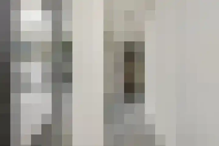 Laan van Meerdervoort 60 Den Haag thumbnail 23