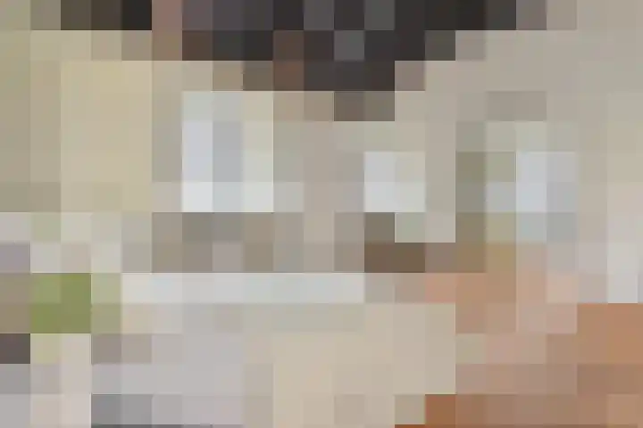 Laan van Meerdervoort 60 Den Haag thumbnail 33
