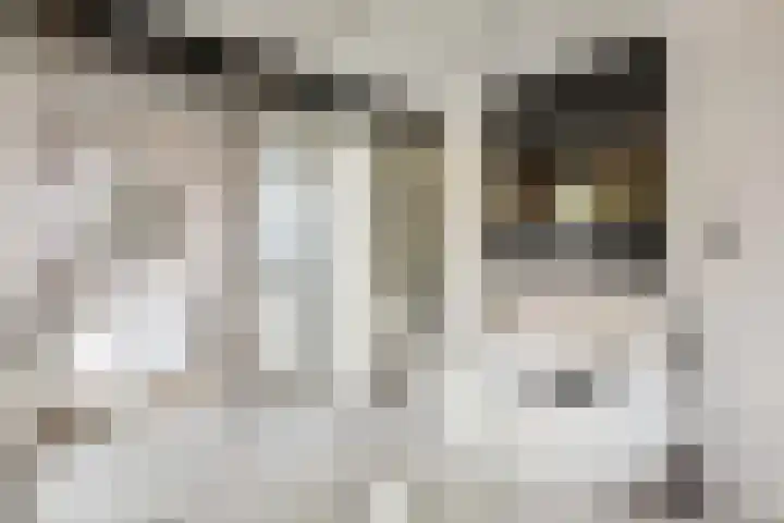 Laan van Meerdervoort 60 Den Haag thumbnail 35