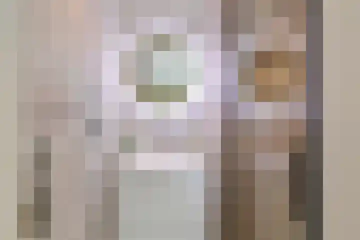 Laan van Meerdervoort 60 Den Haag thumbnail 44