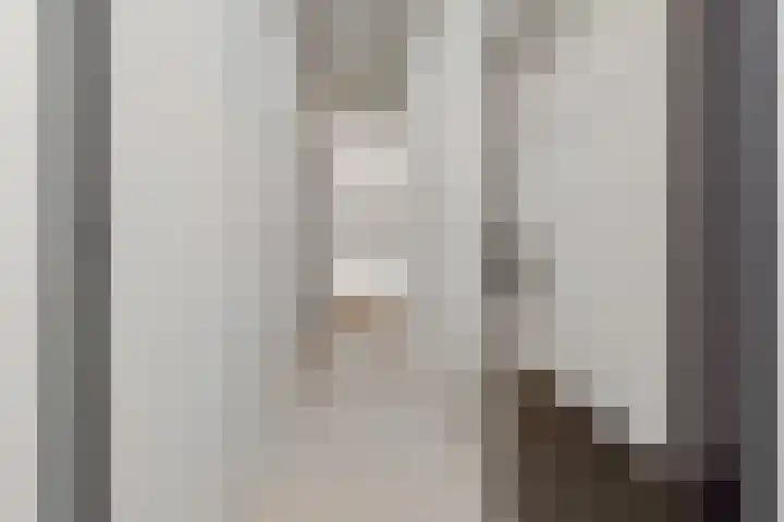 Laan van Meerdervoort 60 Den Haag thumbnail 5