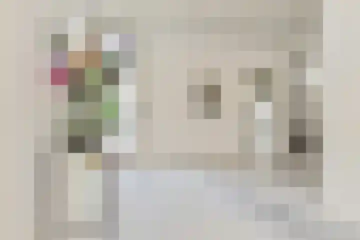 Laan van Meerdervoort 60 Den Haag thumbnail 7