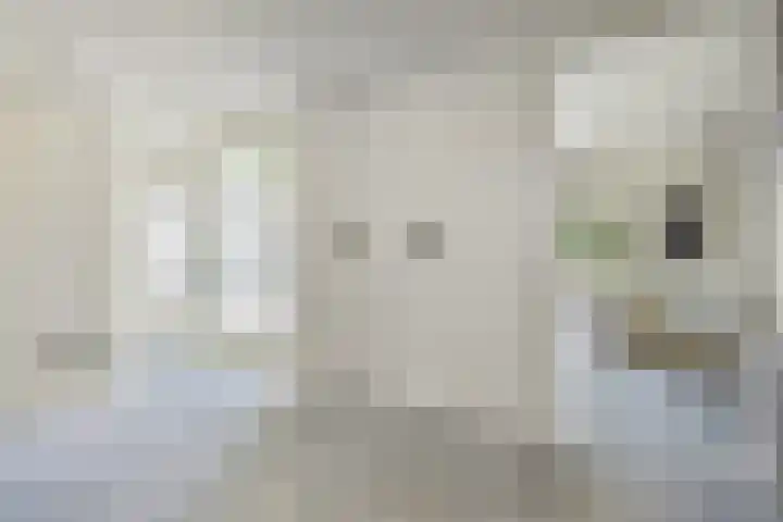 Laan van Meerdervoort 60 Den Haag thumbnail 9