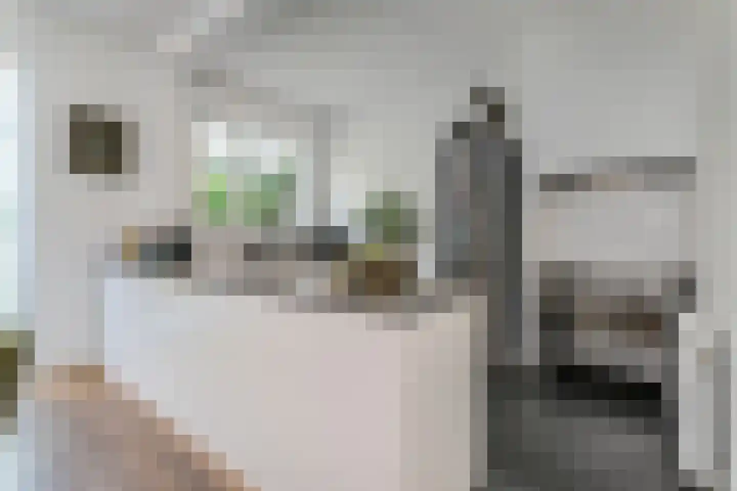 Laan van Meerdervoort 603 Den Haag thumbnail 15