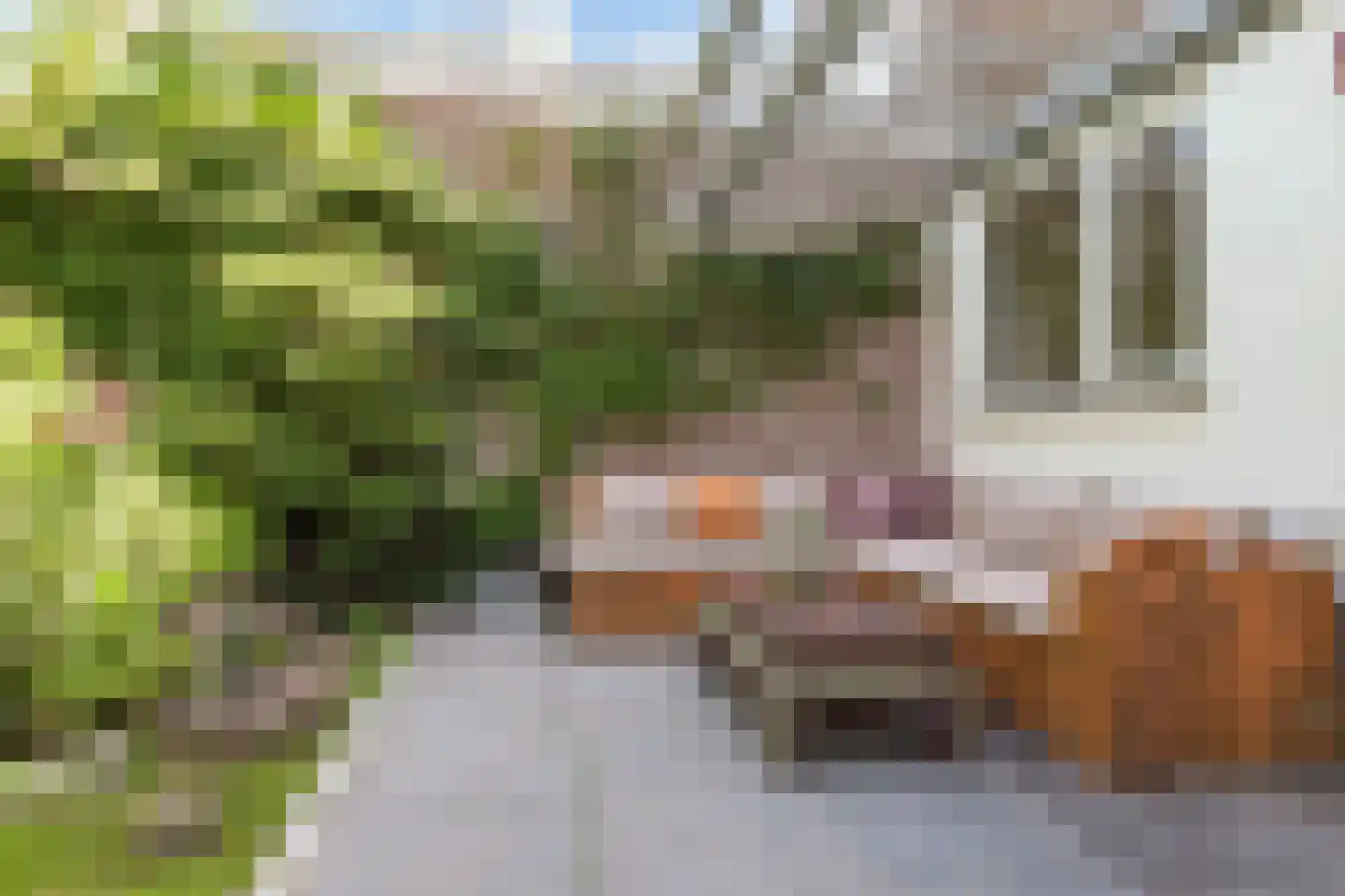 Laan van Meerdervoort 603 Den Haag thumbnail 21