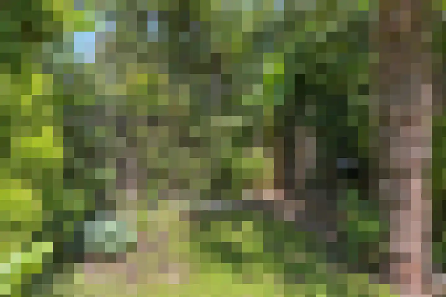 Laan van Meerdervoort 603 Den Haag thumbnail 22