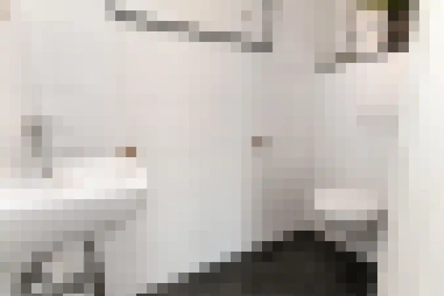 Laan van Meerdervoort 603 Den Haag thumbnail 24