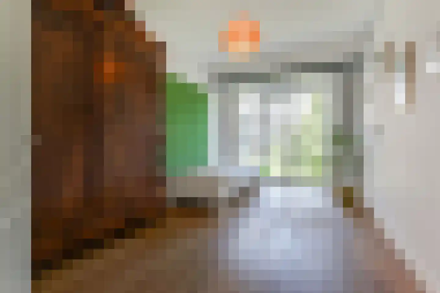 Laan van Meerdervoort 603 Den Haag thumbnail 34