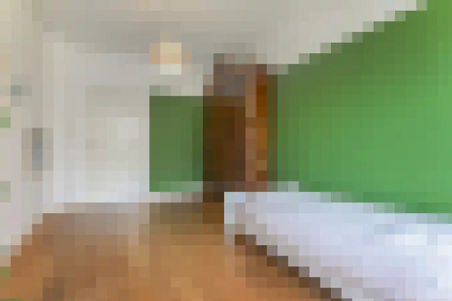 Laan van Meerdervoort 603 Den Haag thumbnail 38