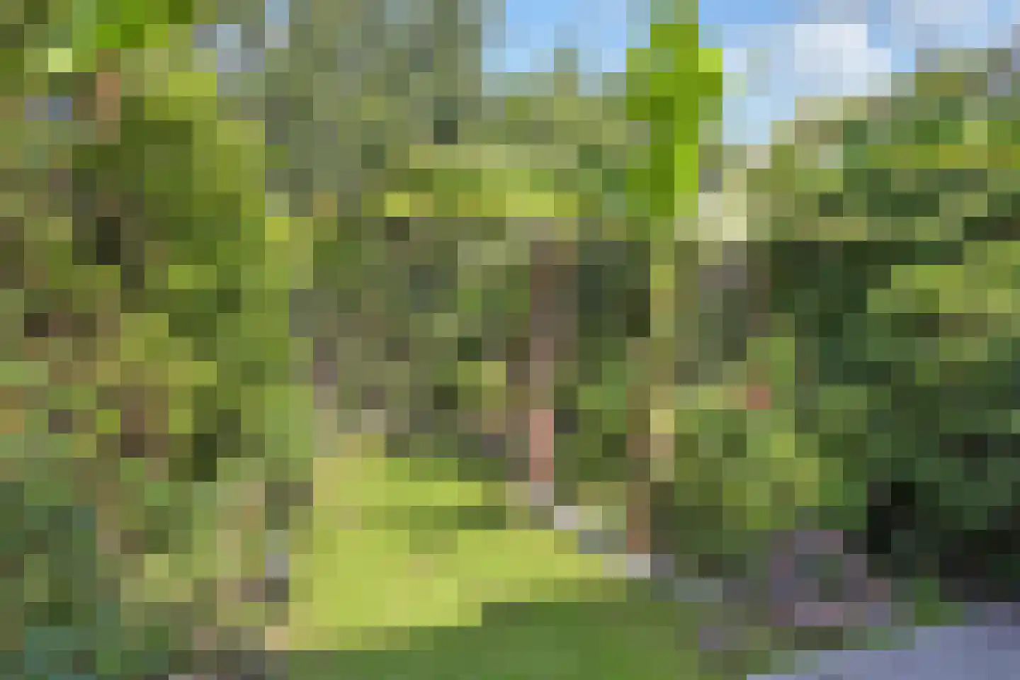 Laan van Meerdervoort 603 Den Haag thumbnail 4