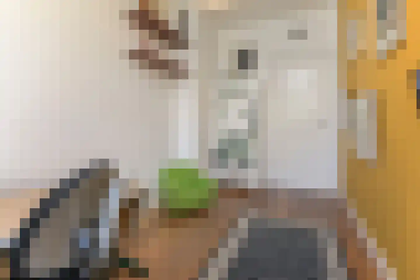 Laan van Meerdervoort 603 Den Haag thumbnail 40